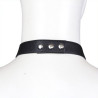 Generique Ensemble Panties avec harnais Simili